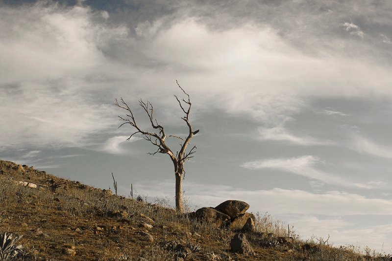 windy hill.jpg